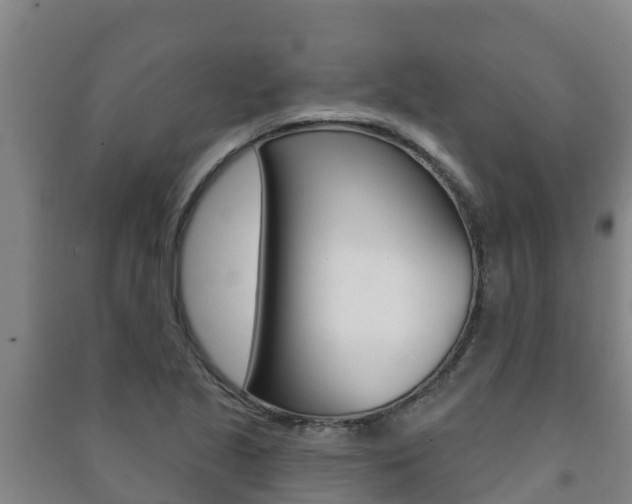 X0000091471221200708161121