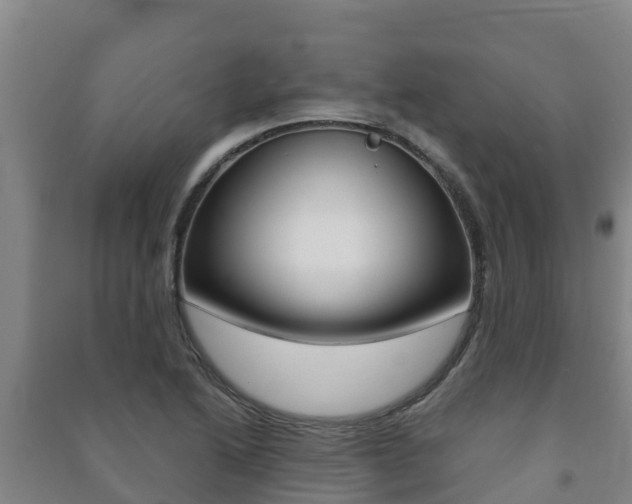 X0000091471222200708161121