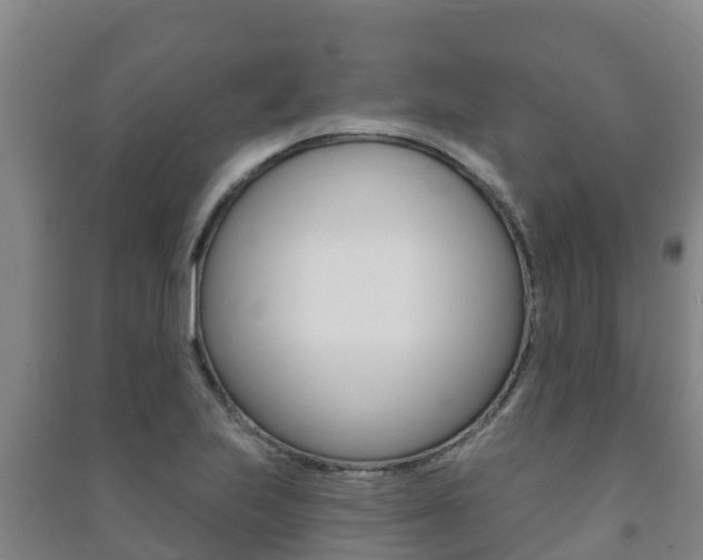 X0000091471223200708161121