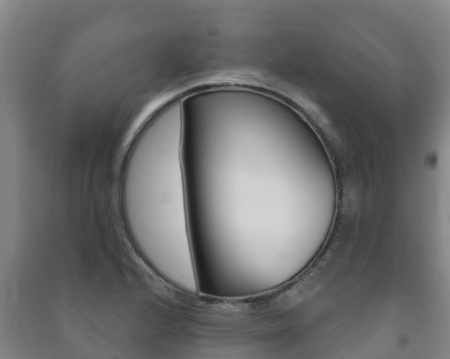 X0000091471224200708161121