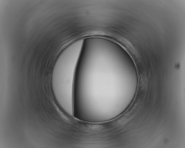 X0000091471225200708161121