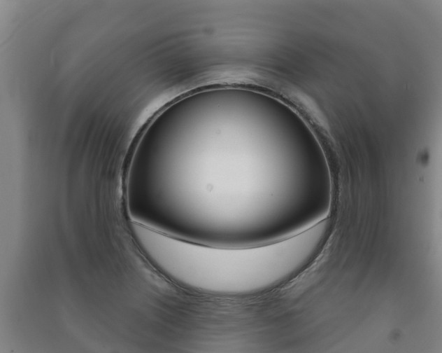 X0000091471226200708161121