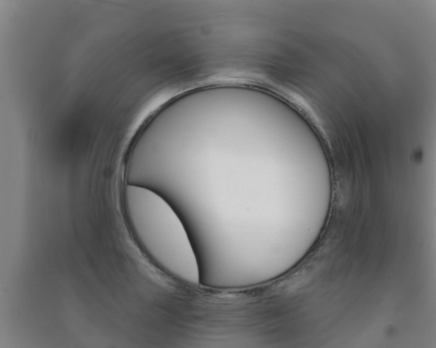 X0000091471227200708161121