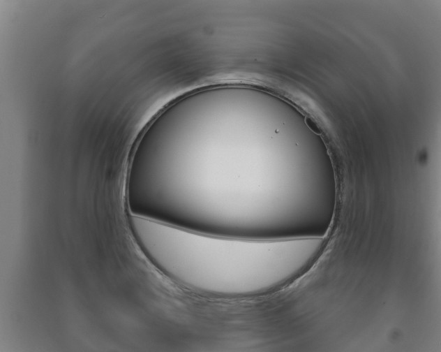 X0000091471228200708161121