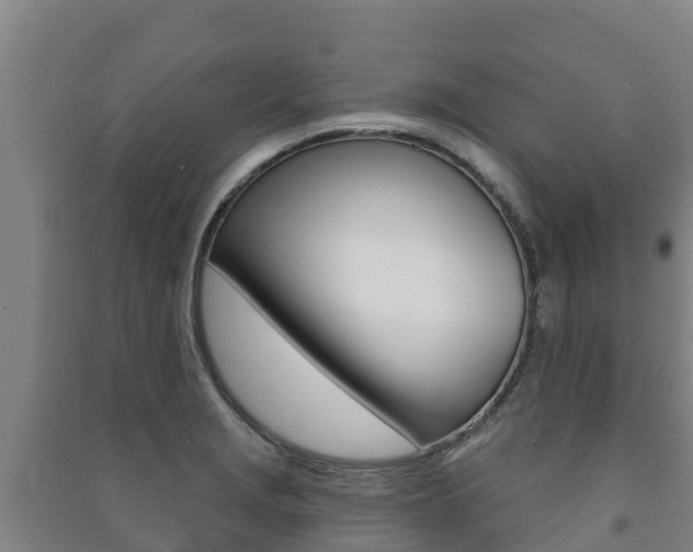 X0000091471229200708161121