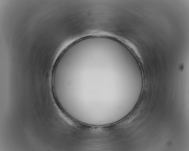 X0000091471231200708161121