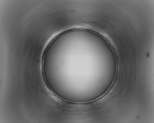 X0000091471232200708161121