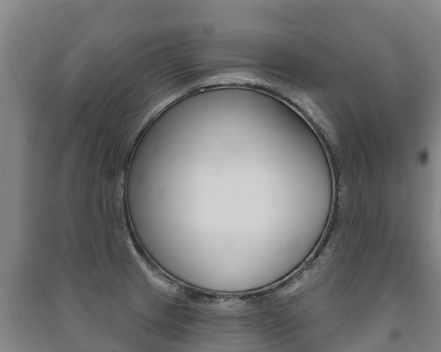 X0000091471233200708161121