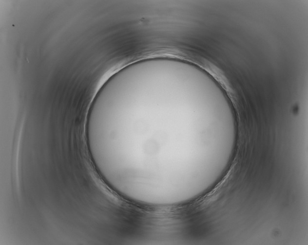X0000091471234200708161121