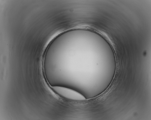 X0000091471235200708161121