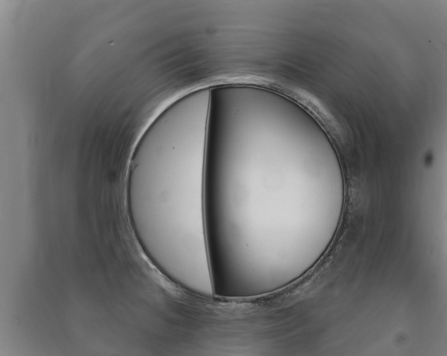 X0000091471236200708161121