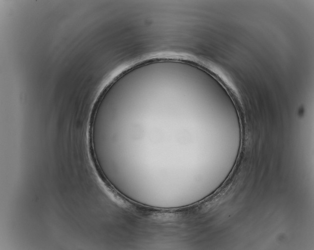 X0000091471237200708161121