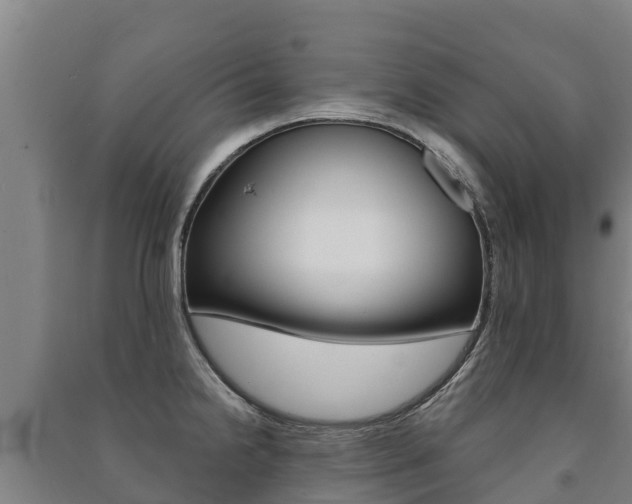 X0000091471238200708161121