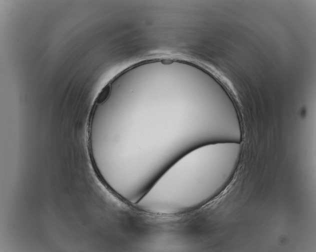 X0000091471239200708161121