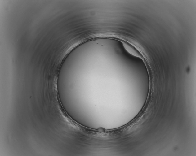 X0000091471241200708161121