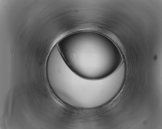 X0000091471242200708161121