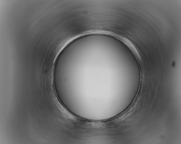 X0000091471244200708161121