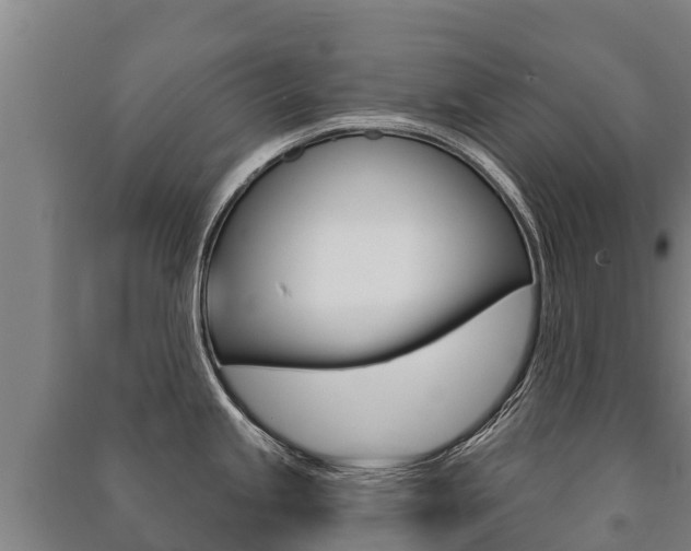 X0000091471245200708161121