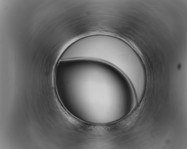 X0000091471246200708161121
