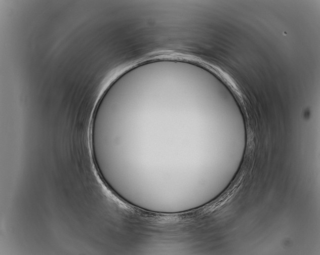 X0000091471247200708161121