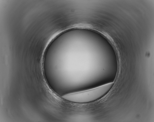 X0000091471248200708161121