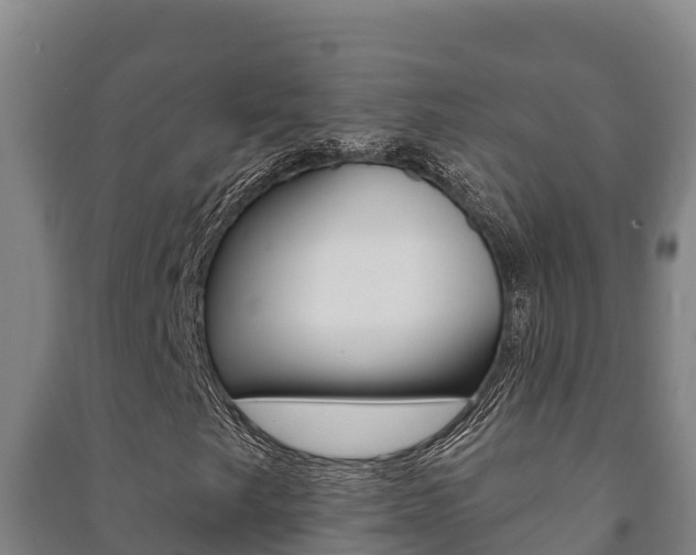 X0000091471249200708161121
