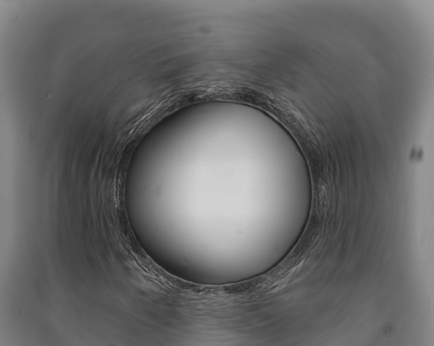 X0000091471250200708161121