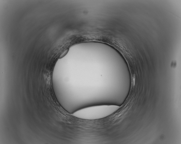 X0000091471251200708161121