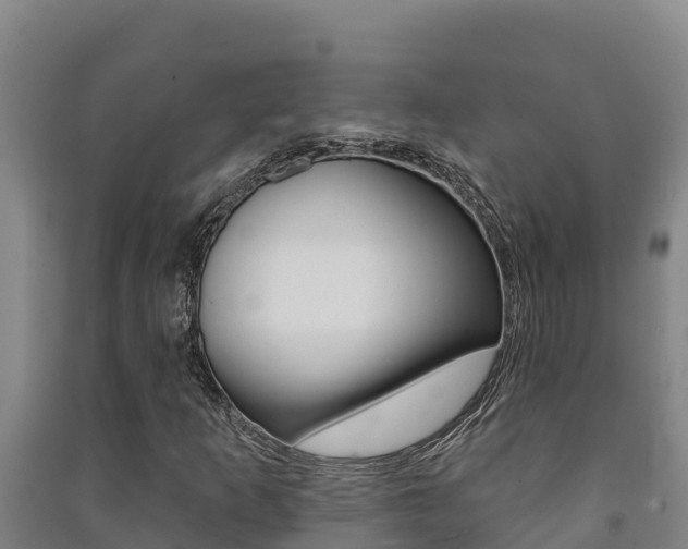 X0000091471253200708161121