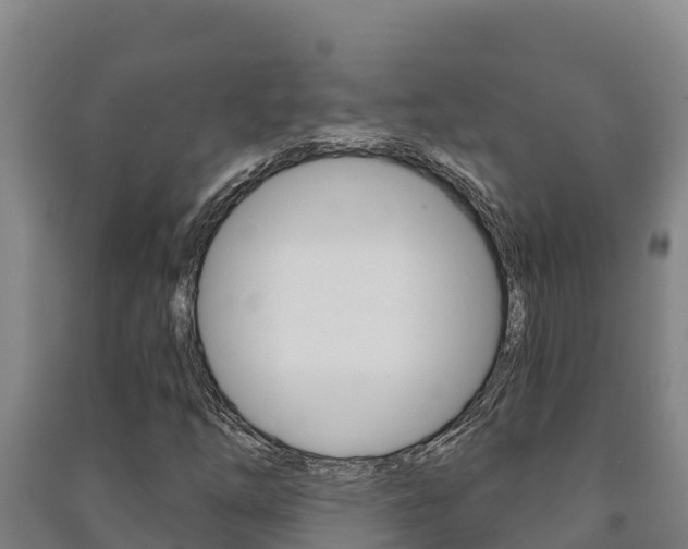 X0000091471254200708161121