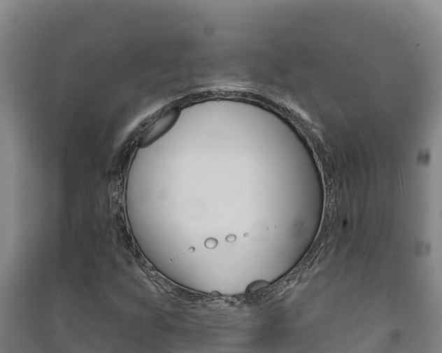 X0000091471255200708161121