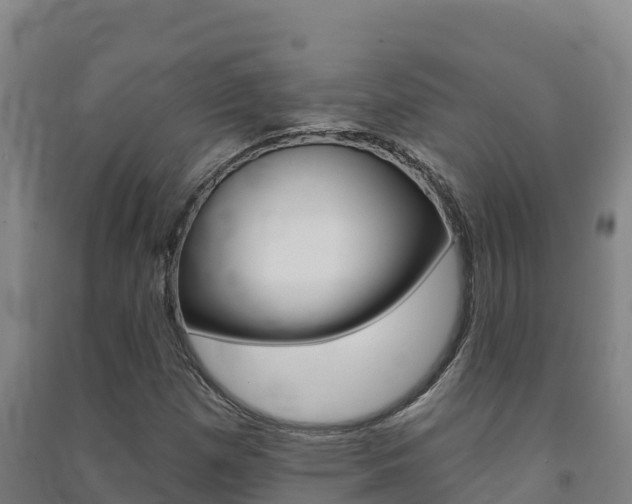 X0000091471257200708161121
