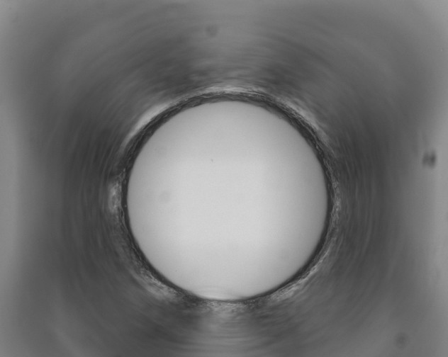 X0000091471258200708161121