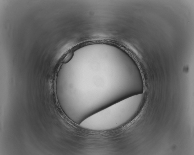 X0000091471259200708161121