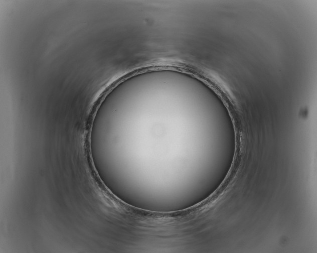 X0000091471260200708161121