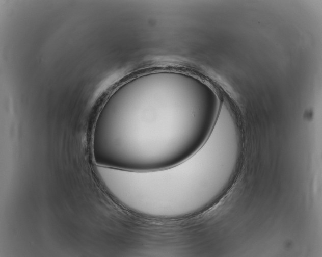 X0000091471261200708161121