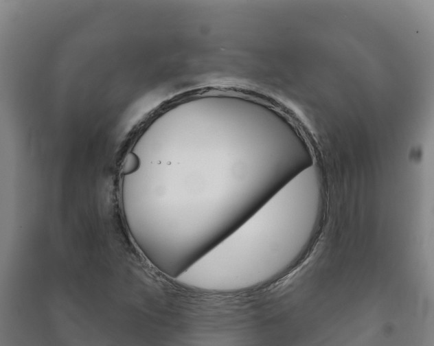 X0000091471263200708161120