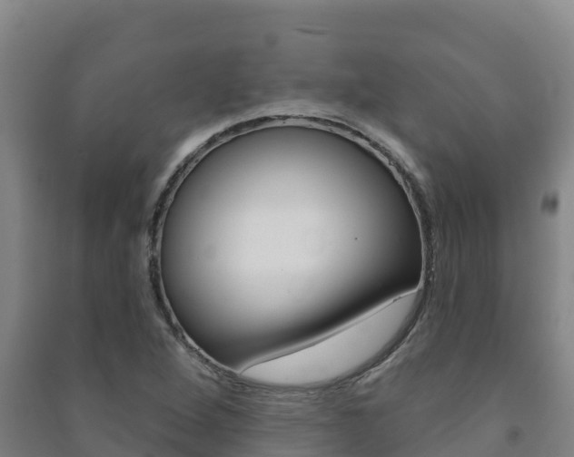 X0000091471264200708161120