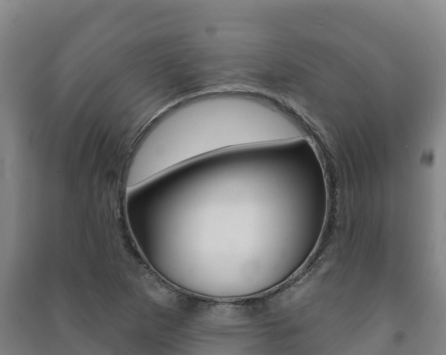 X0000091471265200708161120