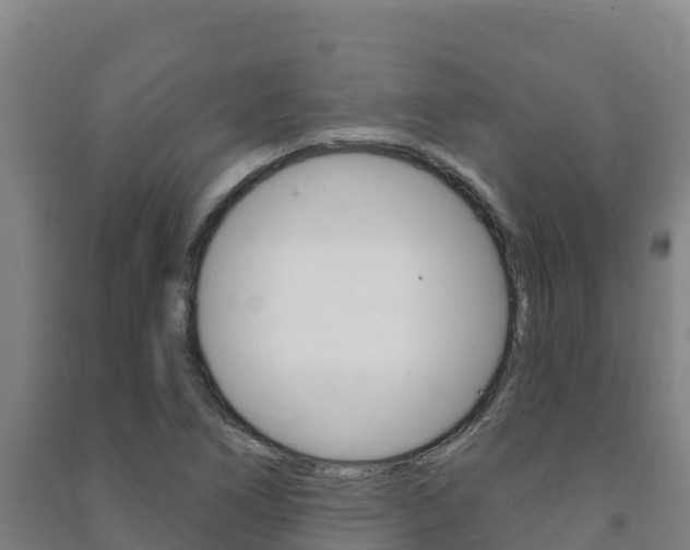 X0000091471266200708161120