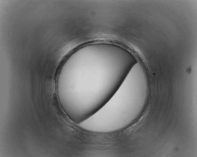 X0000091471267200708161120