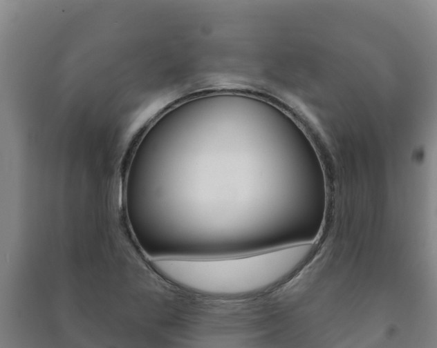 X0000091471269200708161120
