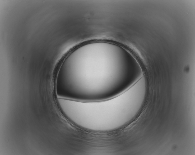 X0000091471270200708161120