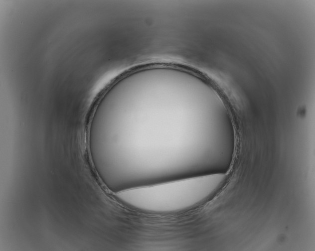 X0000091471271200708161120