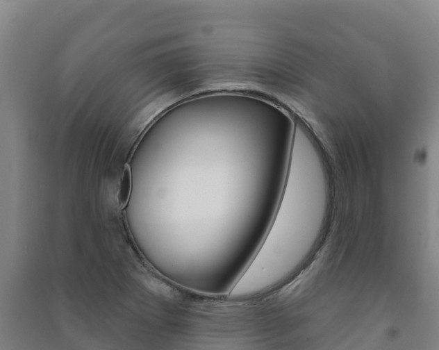 X0000091471273200708161120