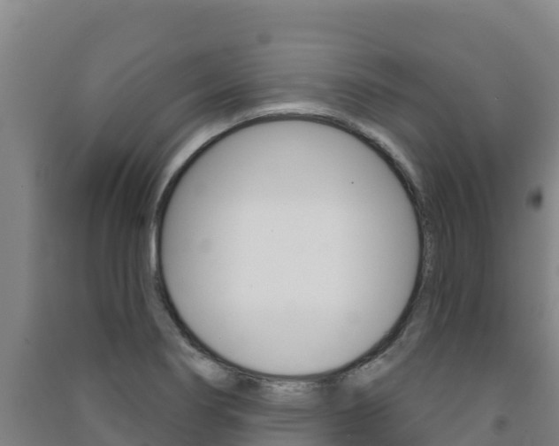 X0000091471274200708161120