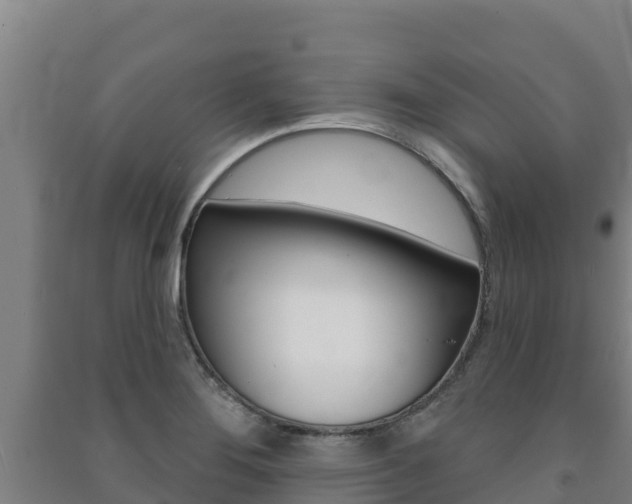 X0000091471276200708161120
