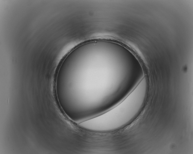 X0000091471277200708161120