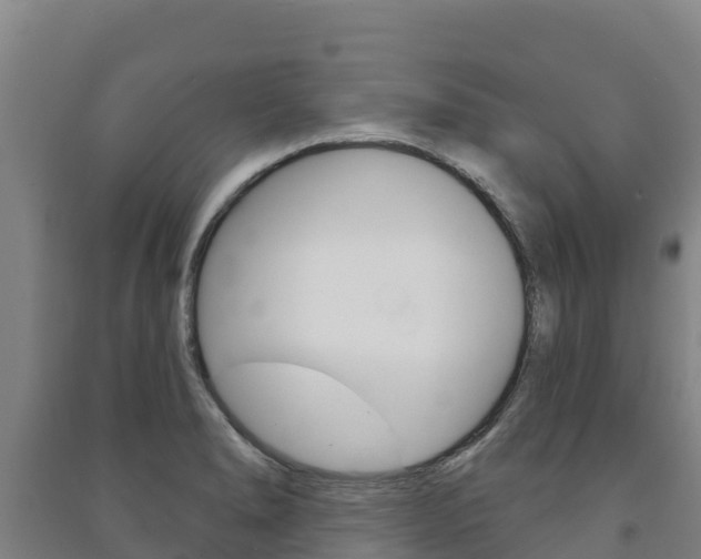 X0000091471278200708161120
