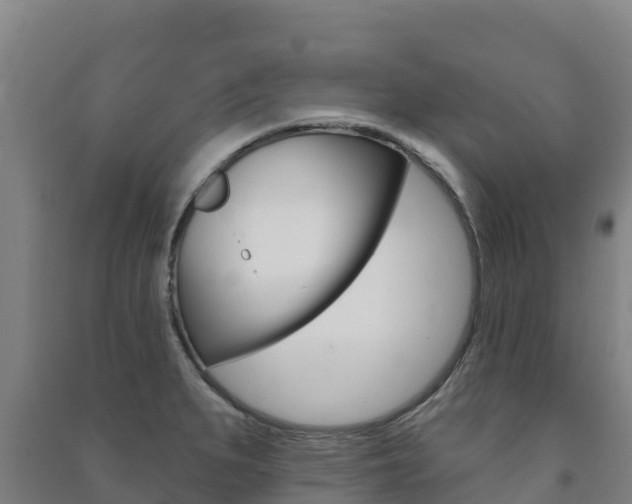X0000091471279200708161120